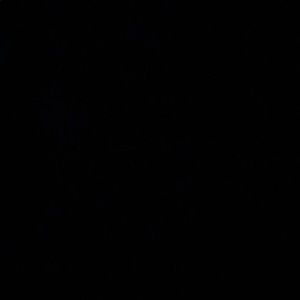 Meet your Posher, Zach